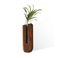 Wall Hanging Planter