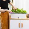 Self Watering Planter Pot