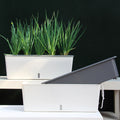 Self Watering Planter Pot