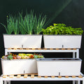 Self Watering Planter Pot