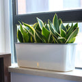 Self Watering Planter Pot