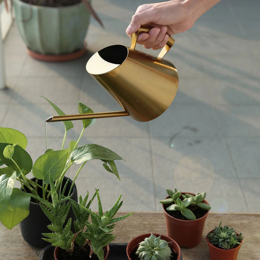 Stainless Steel Watering Can Sprinkle Pot Long Mouth Garden Flowers Plants Flower Tool1500ml  Watering,Can§Watering,Pot§Stainles